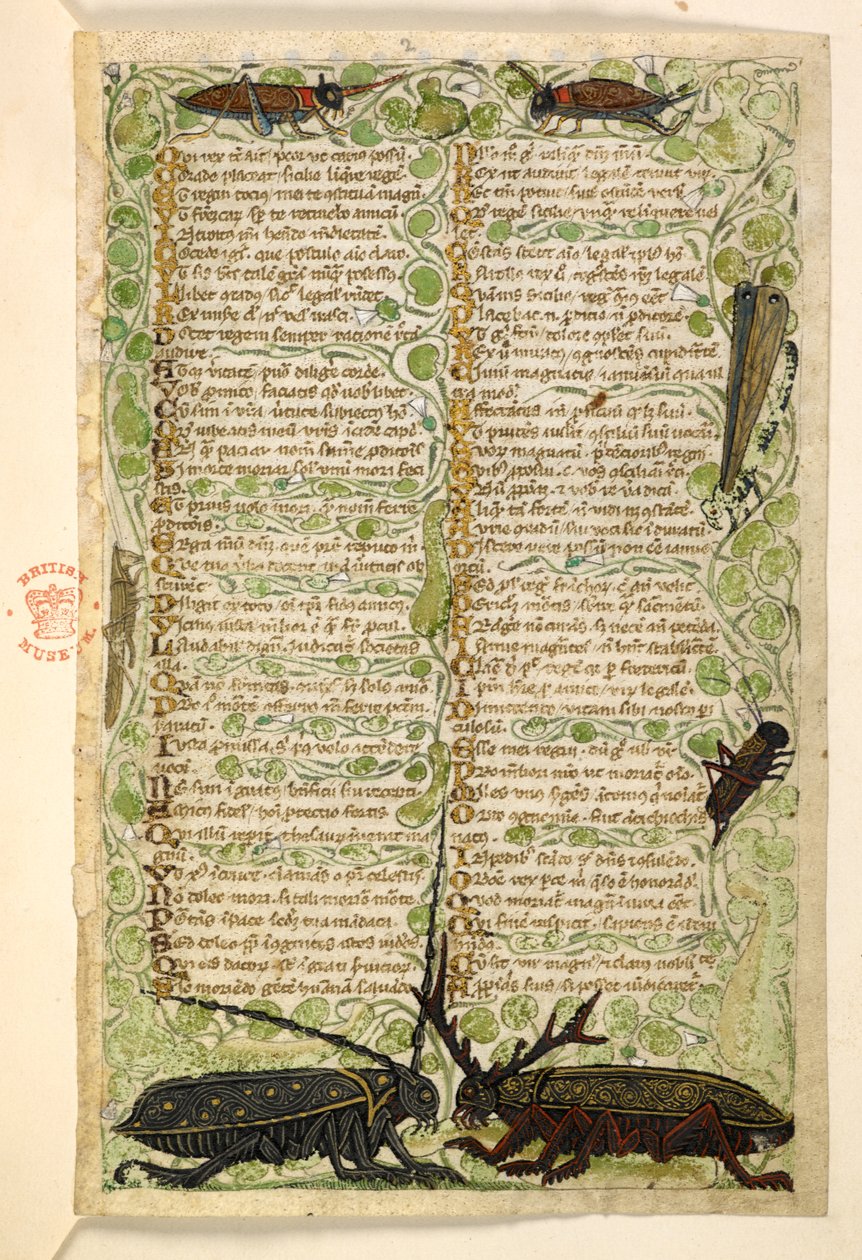 Lägg till. 28841, f.2: Hornbaggar, syrsor och ett lokus.  Avhandling om dygder och laster och en anonym prosahistoria på Sicilien (fragment)  Cocharelli av Master of the Cocharelli Codex