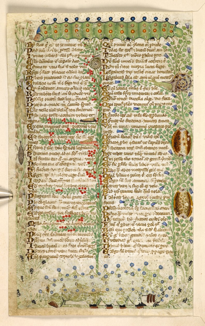 Lägg till. 28841, f.2v: Larver, sniglar och andra insekter, från en avhandling om dygder och laster, och en anonym prosahistoria av Sicilien (fragment), c.1330-40 (vellum) av Master of the Cocharelli Codex