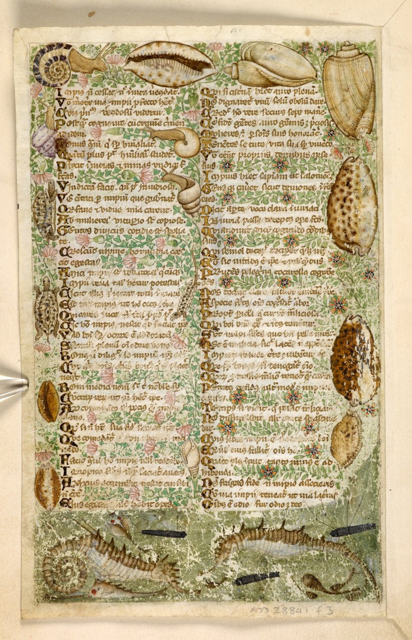 swedish av Master of the Cocharelli Codex