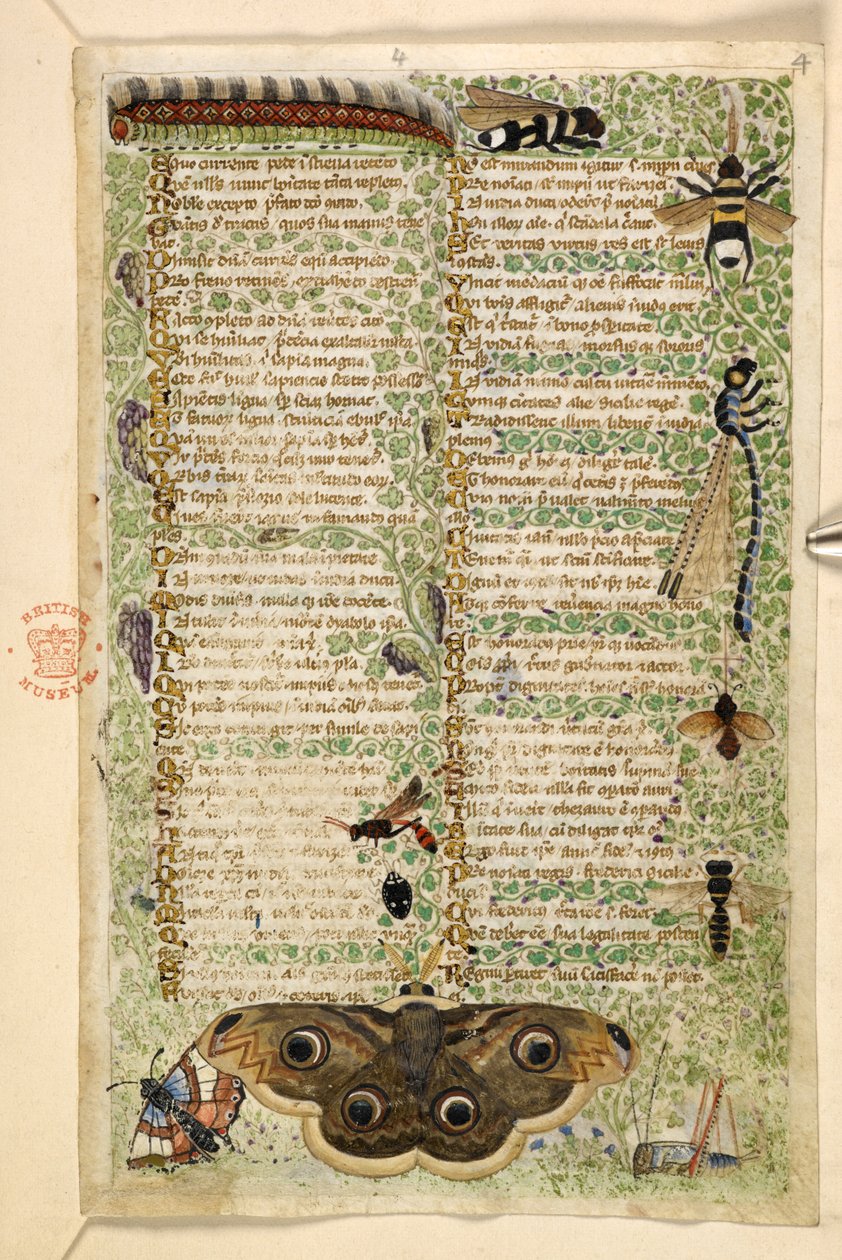 Lägg till. 28841, f.4: Getingar, malar, trollsländor och en larv, från en avhandling om dygder och laster, och en anonym prosahistoria av Sicilien (fragment), c.1330-40 (vellum) av Master of the Cocharelli Codex