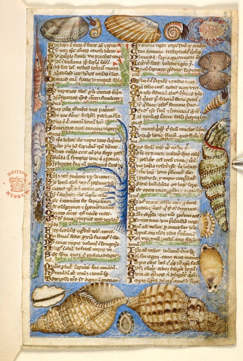 Lägg till. 28841, f.5: Snäckor och marina varelser, från en avhandling om dygder och laster, och en anonym prosahistoria av Sicilien (fragment), c.1330-40 (vellum) av Master of the Cocharelli Codex