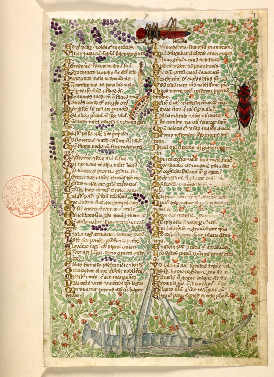 Lägg till. 28841, f.7, Blommor, frukt och insekter, inklusive en gräshoppa och en gräshoppa, från en avhandling om dygder och laster, och en anonym prosahistoria på Sicilien (fragment) av Master of the Cocharelli Codex