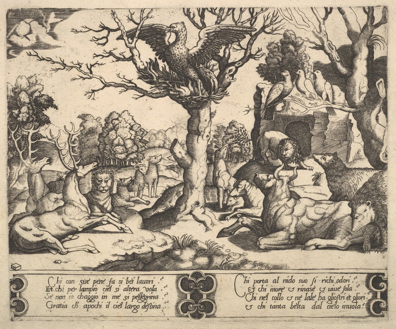 En Fenix satt på toppen av ett träd, vingarna öppna, ett sortiment av djur nedanför, 1530-60. av Master of the Die