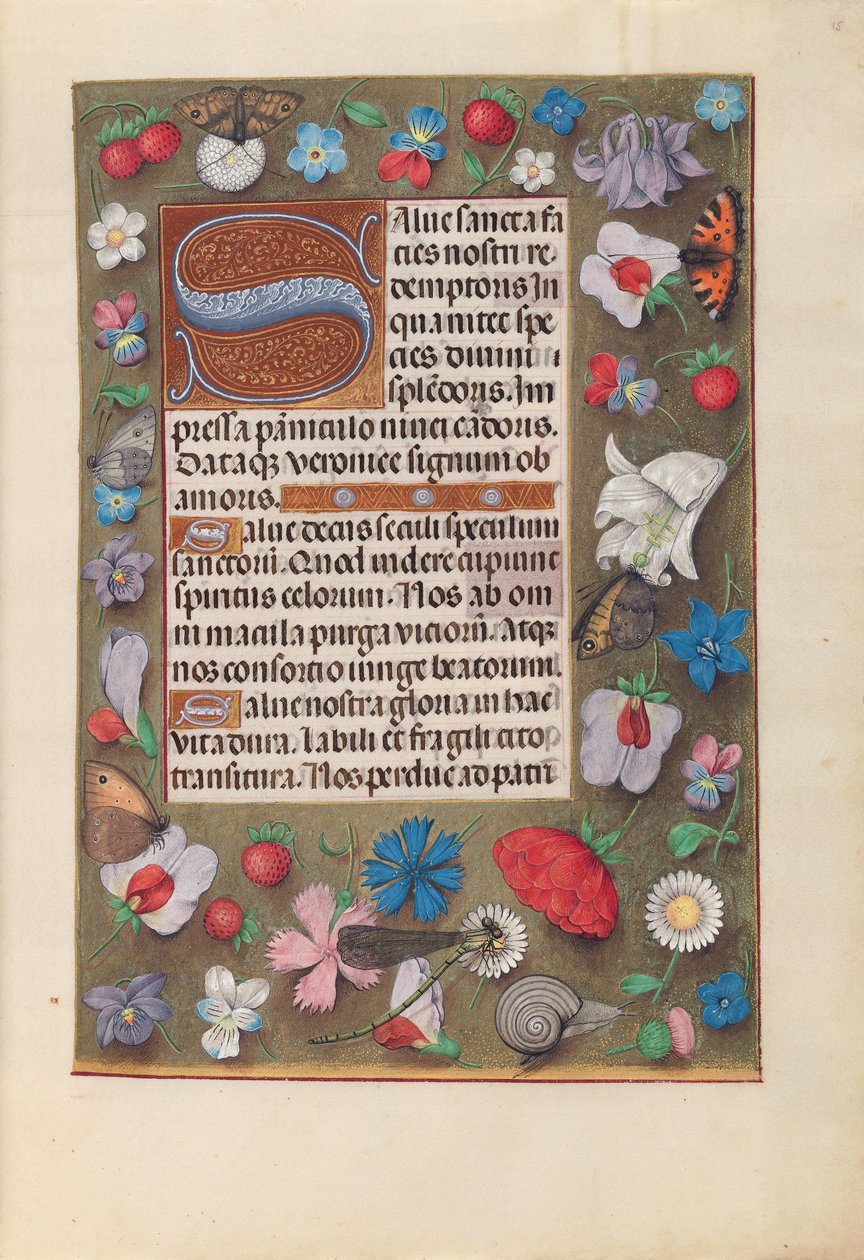 Hours of Queen Isabella the Catholic, Queen of Spain: Fol. 15r, c. 1500. av Master of the First Prayerbook of Maximillian