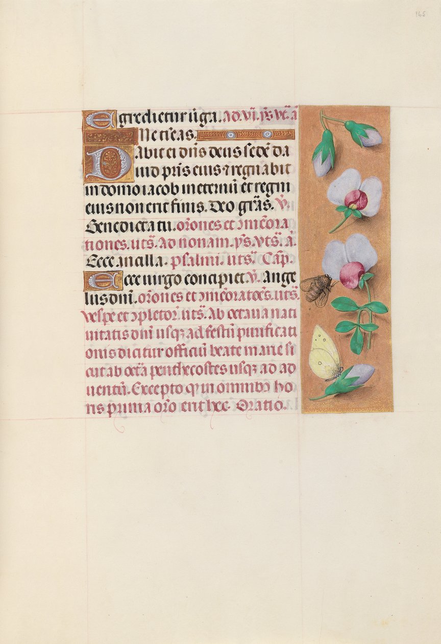 Hours of Queen Isabella the Catholic, Queen of Spain: Fol. 165r, c. 1500. av Master of the First Prayerbook of Maximillian