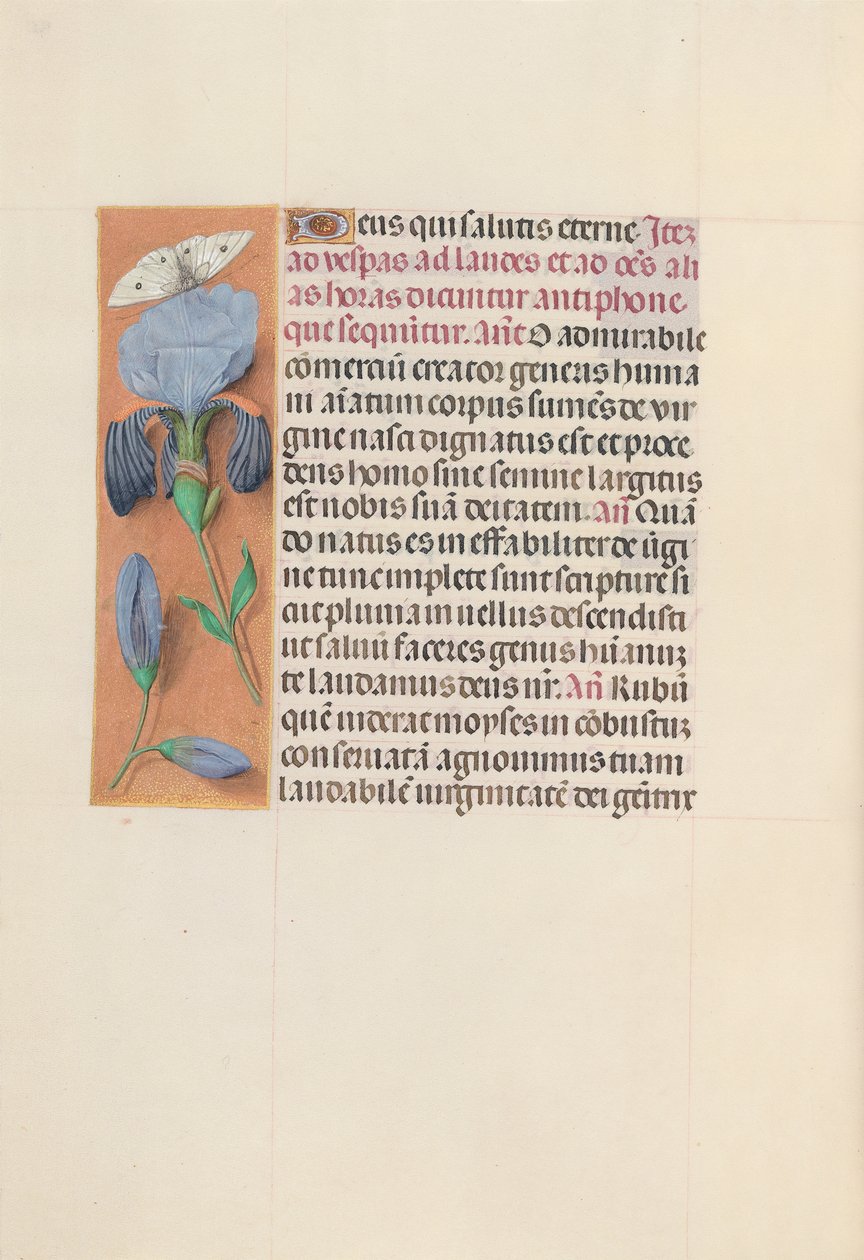 Hours of Queen Isabella the Catholic, Queen of Spain: Fol. 165v, c. 1500. av Master of the First Prayerbook of Maximillian