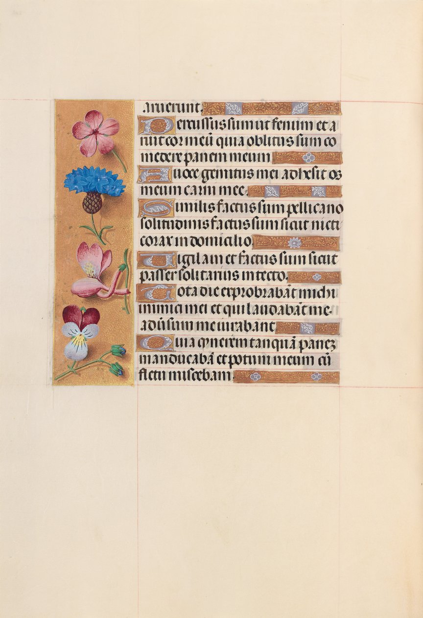 Hours of Queen Isabella the Catholic, Queen of Spain: Fol. 206v, c. 1500. av Master of the First Prayerbook of Maximillian