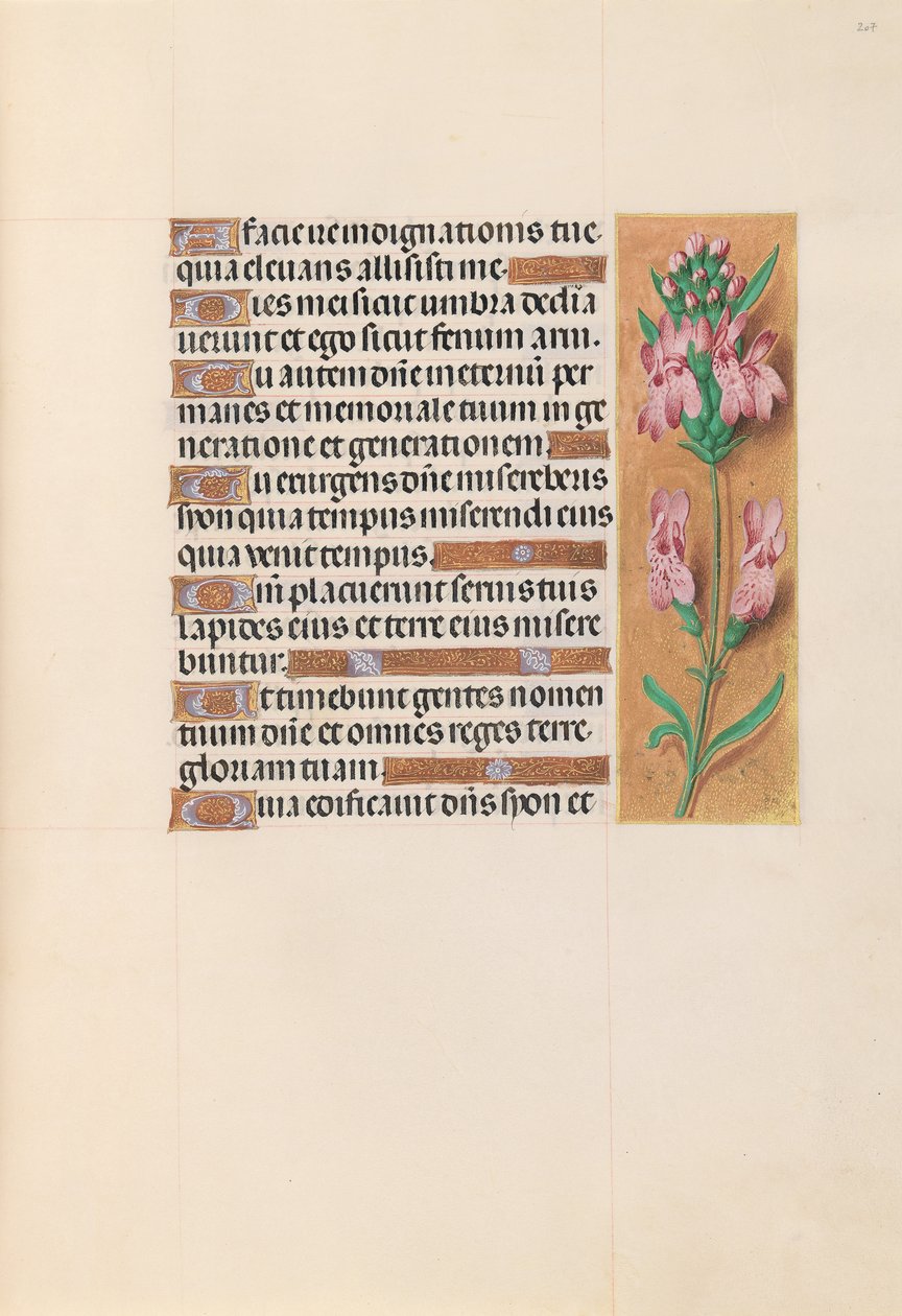 Hours of Queen Isabella the Catholic, Queen of Spain: Fol. 207r, c. 1500. av Master of the First Prayerbook of Maximillian