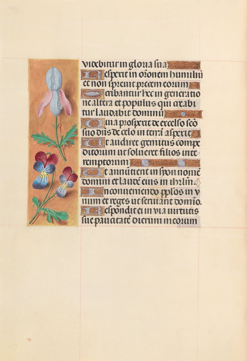 Hours of Queen Isabella the Catholic, Queen of Spain: Fol. 207v, c. 1500. av Master of the First Prayerbook of Maximillian
