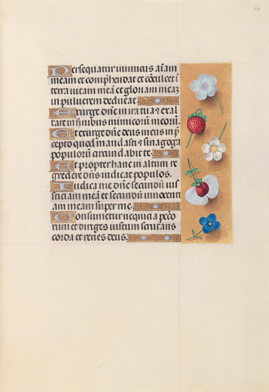 Hours of Queen Isabella the Catholic, Queen of Spain: Fol. 230r, c. 1500. av Master of the First Prayerbook of Maximillian