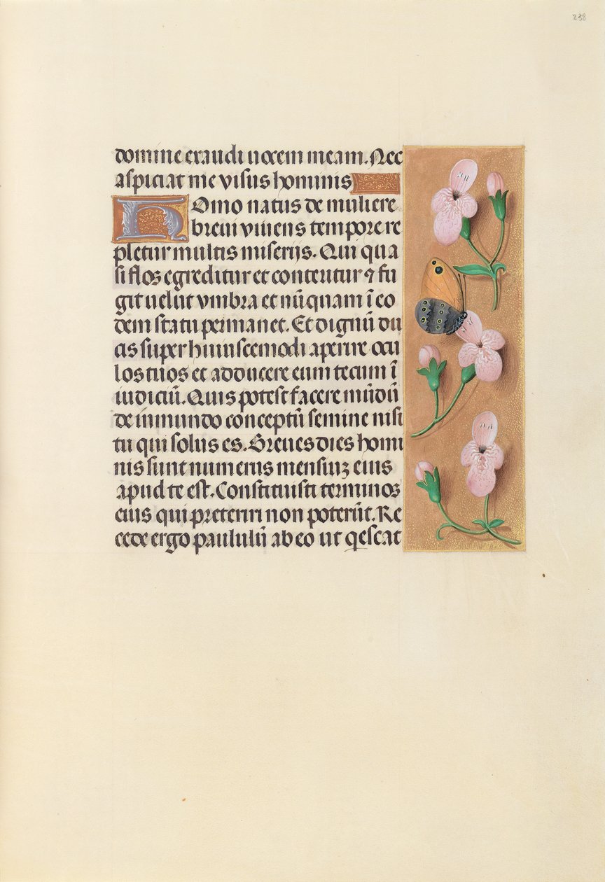 Hours of Queen Isabella the Catholic, Queen of Spain: Fol. 238r, c. 1500. av Master of the First Prayerbook of Maximillian