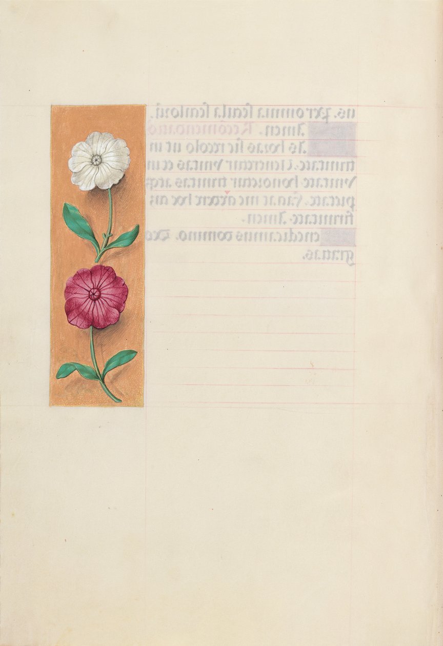 Timmar av drottning Isabella den katolska, drottning av Spanien:  Fol. 23v av Master of the First Prayerbook of Maximillian