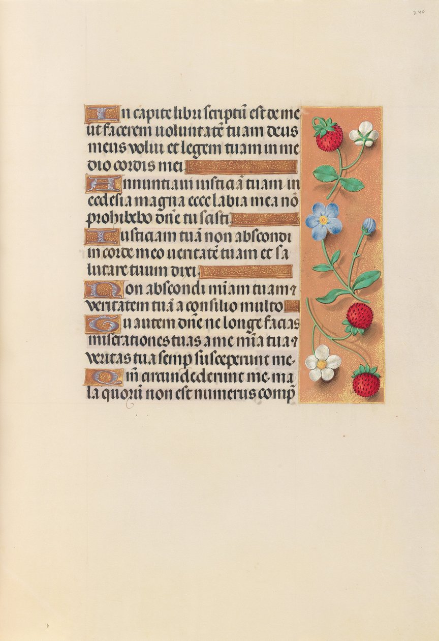 Timmar av drottning Isabella den katolska, drottning av Spanien:  Fol. 240r av Master of the First Prayerbook of Maximillian