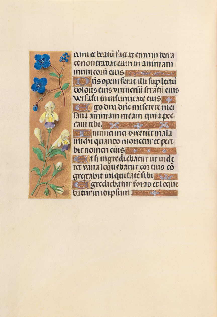 Hours of Queen Isabella the Catholic, Queen of Spain: Fol. 241v, c. 1500. av Master of the First Prayerbook of Maximillian