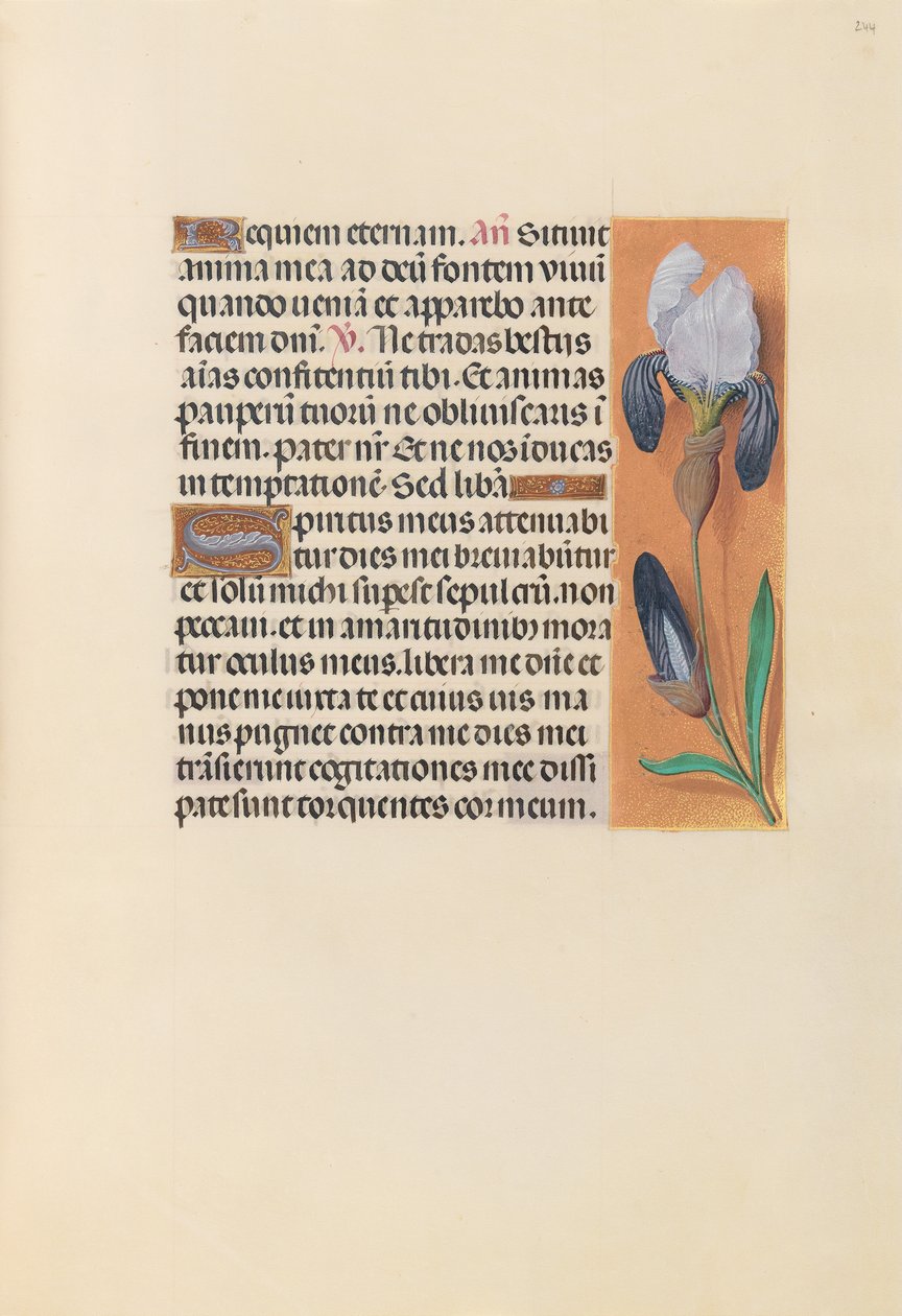 Hours of Queen Isabella the Catholic, Queen of Spain: Fol. 244r, c. 1500. av Master of the First Prayerbook of Maximillian