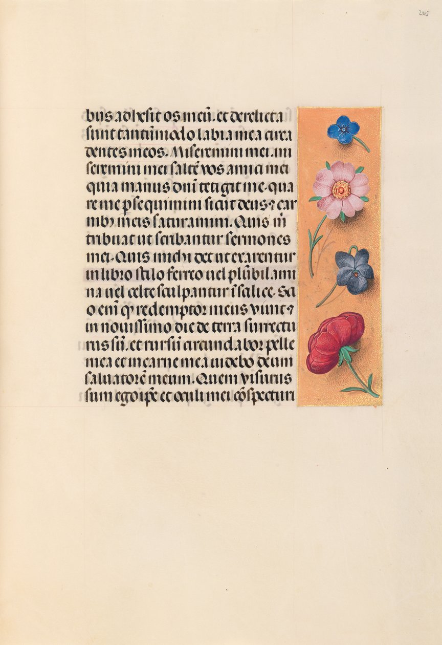 Hours of Queen Isabella the Catholic, Queen of Spain: Fol. 245r, c. 1500. av Master of the First Prayerbook of Maximillian