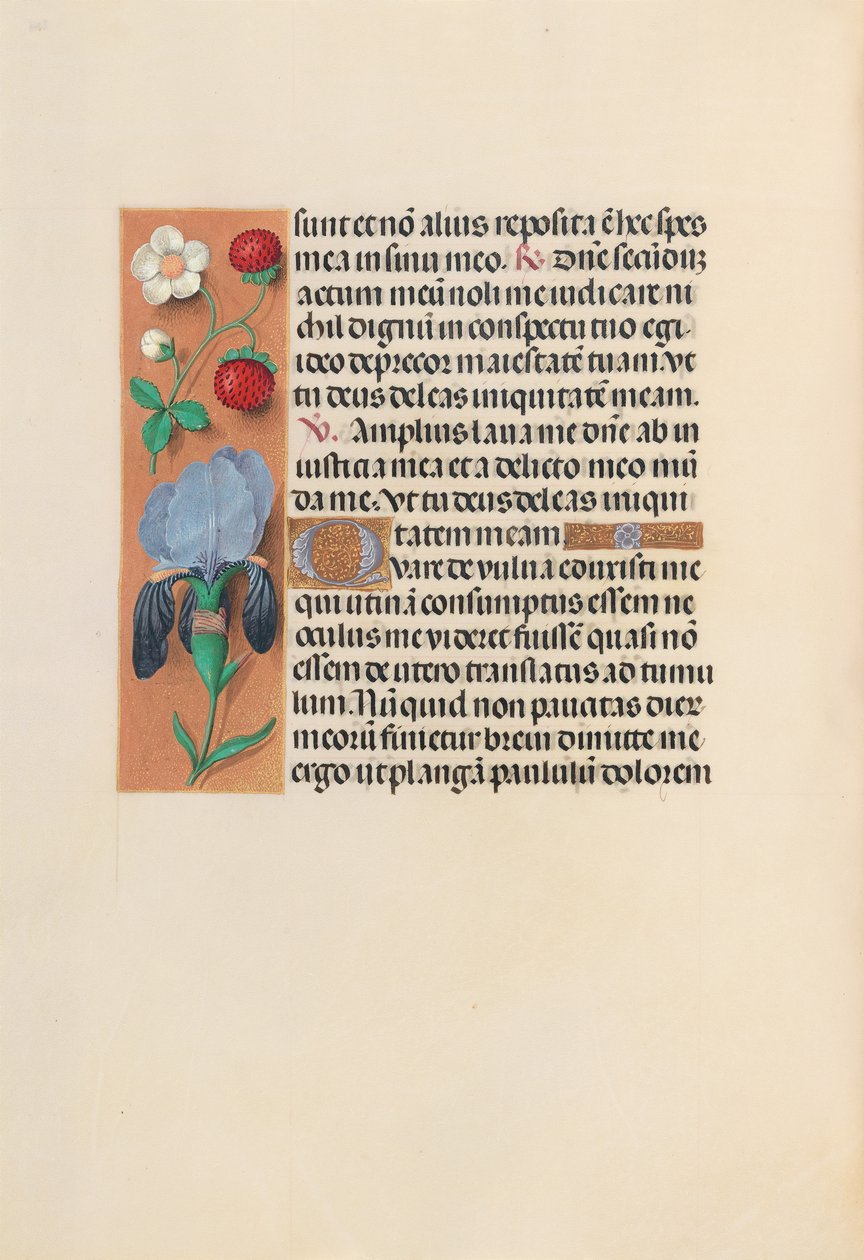 Hours of Queen Isabella the Catholic, Queen of Spain: Fol. 245v, c. 1500. av Master of the First Prayerbook of Maximillian