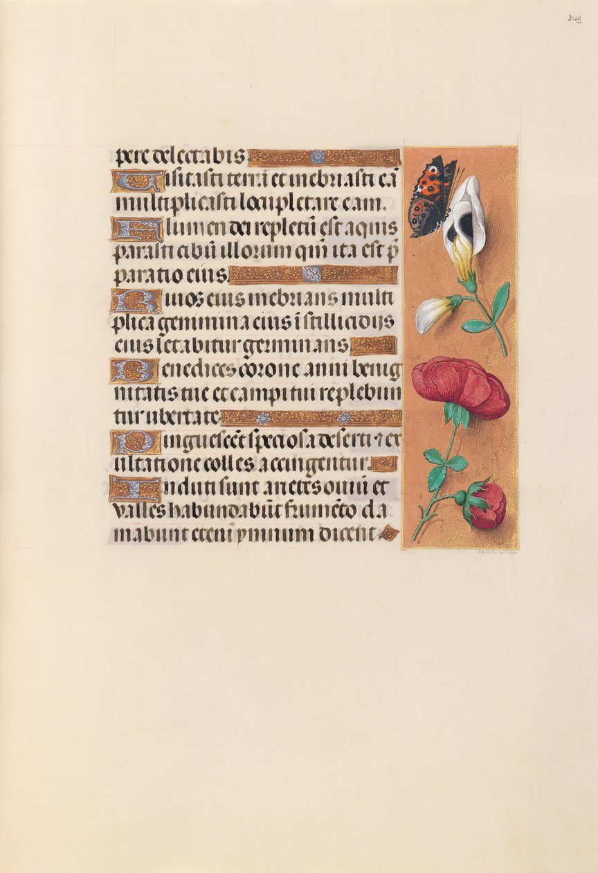 Hours of Queen Isabella the Catholic, Queen of Spain: Fol. 249r, c. 1500. av Master of the First Prayerbook of Maximillian