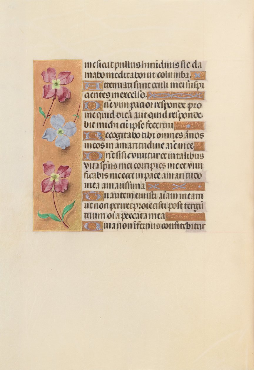 Hours of Queen Isabella the Catholic, Queen of Spain: Fol. 251v, c. 1500. av Master of the First Prayerbook of Maximillian