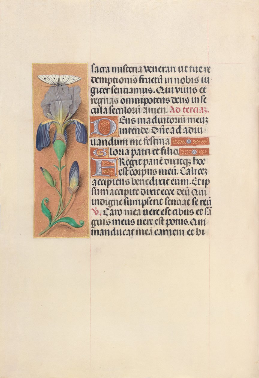 Hours of Queen Isabella the Catholic, Queen of Spain: Fol. 45v, c. 1500. av Master of the First Prayerbook of Maximillian