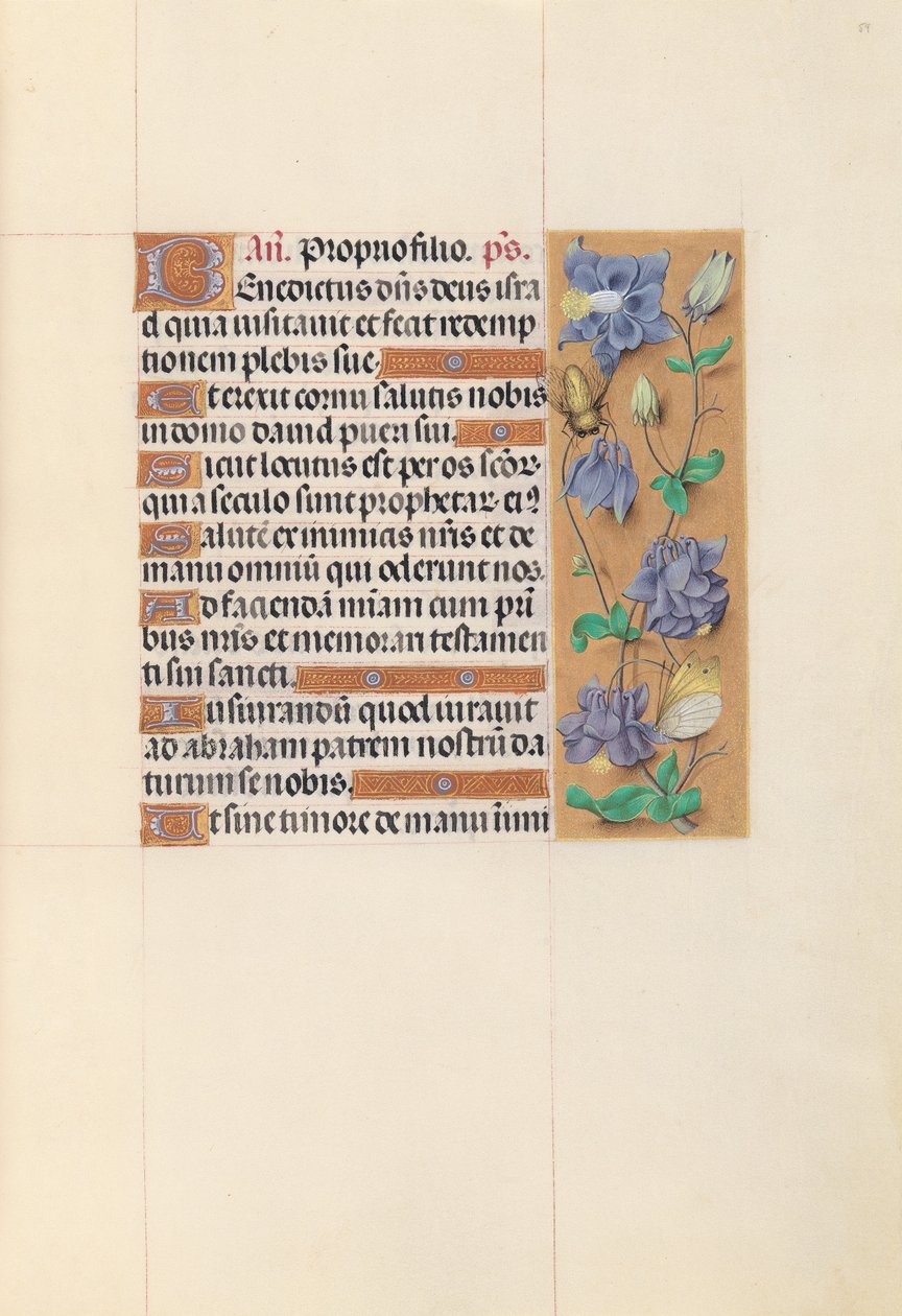 Timmar av drottning Isabella den katolska, drottning av Spanien:  Fol. 59r av Master of the First Prayerbook of Maximillian