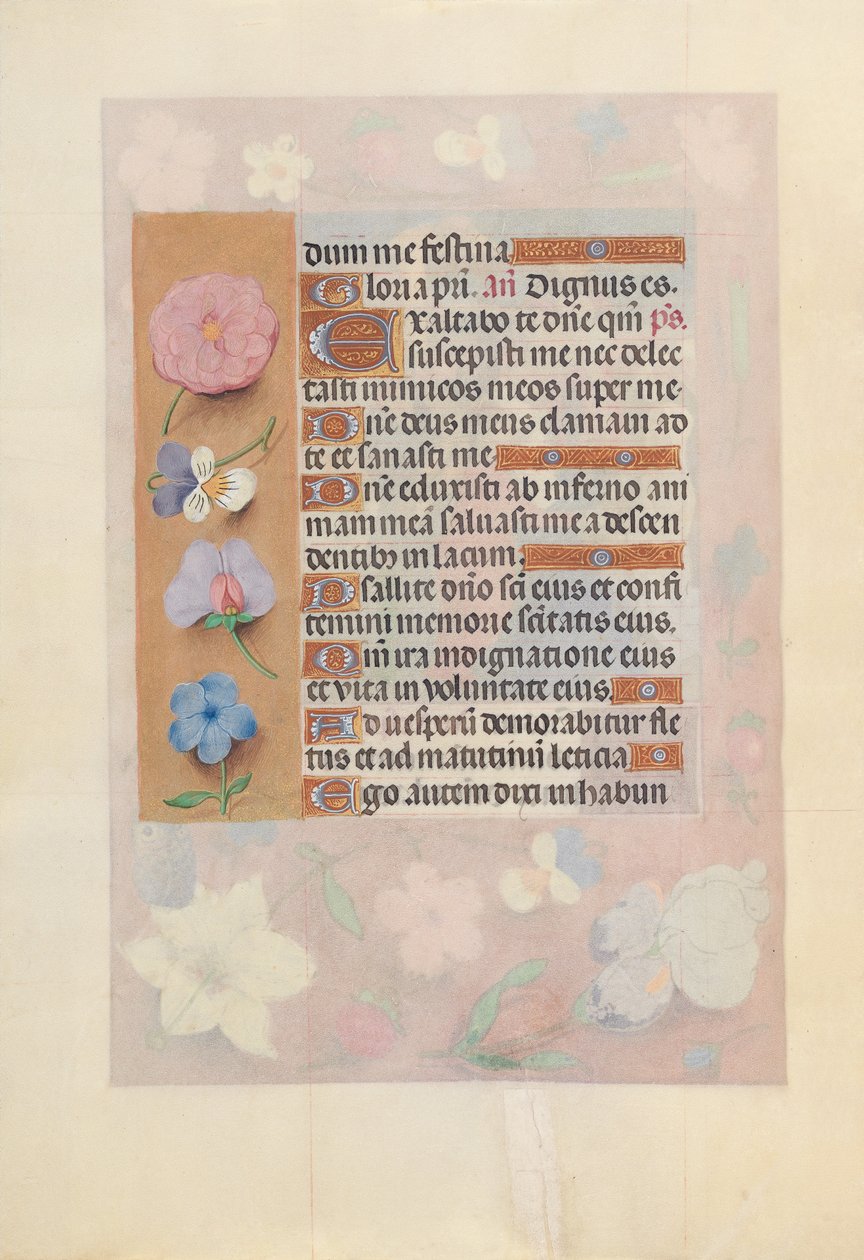 Timmar av drottning Isabella den katolska, drottning av Spanien:  Fol. 73v av Master of the First Prayerbook of Maximillian