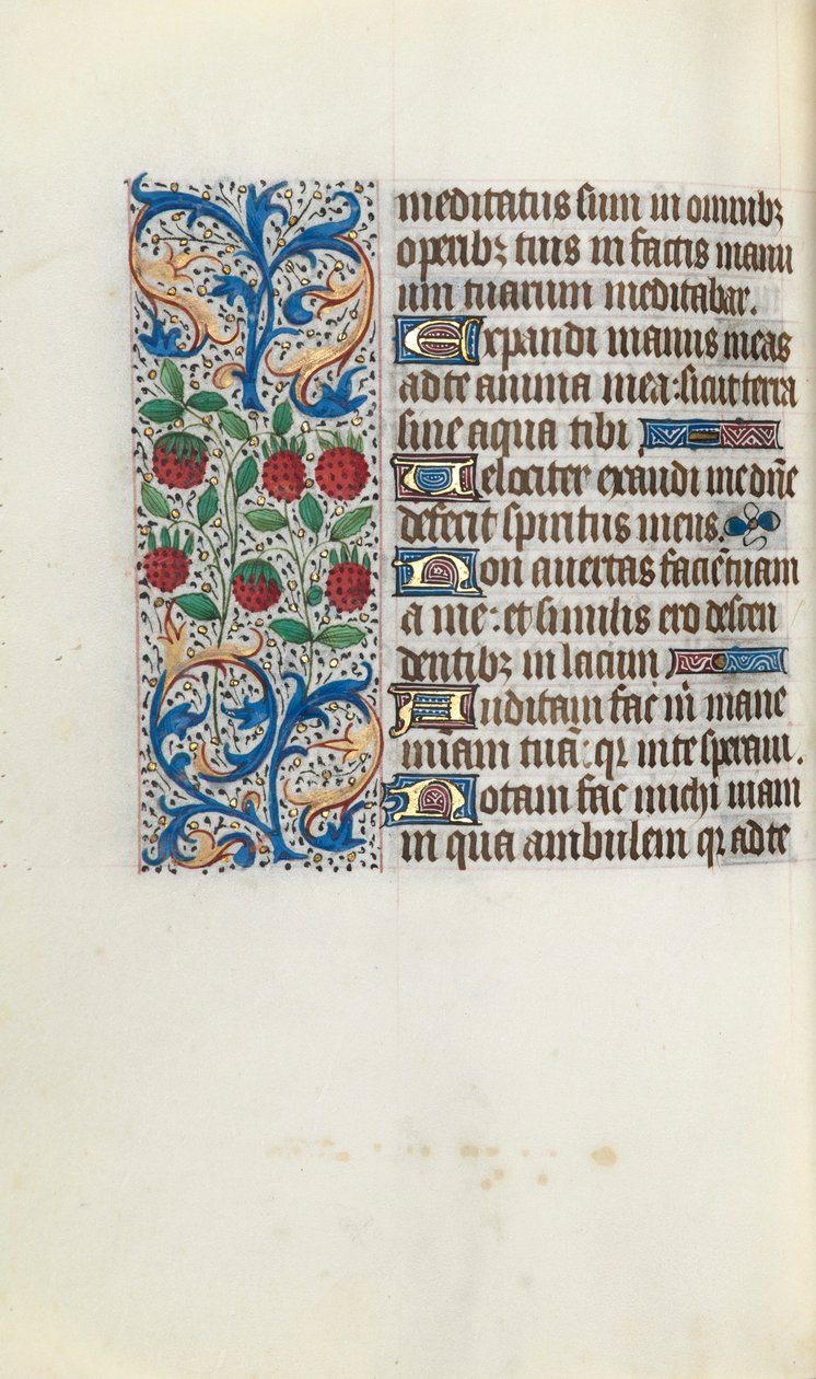 Tidsbok Användning av Rouen: fol. 91v, c. 1470. av Master of the Geneva Latini