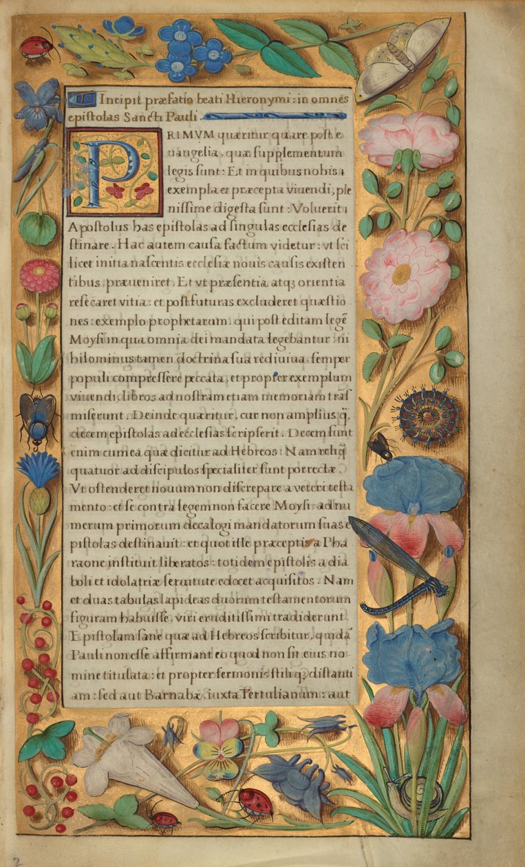 Dekorerad textsida av Master of the Getty Epistles