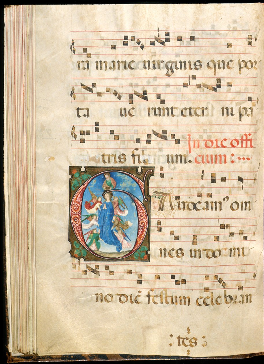 Jungfruns antagande, f.72v från ett gradvis, sent 1400-tal (bläck, tempera och bladguld på pergament) av Master of the Saluces Hours (attr. to)