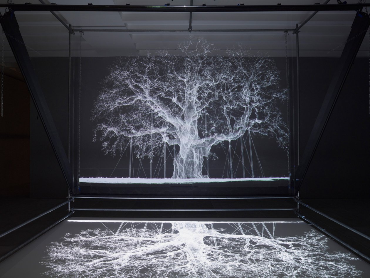 Albion, 2017 (Projektor, mediaspelare, byggnadsställning, transparent film, trä, färg, spegel, stretchingtillbehör) av Mat Collishaw