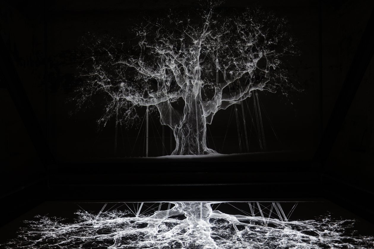 Albion, 2017 (Projektor, mediaspelare, byggnadsställning, transparent film, trä, färg, spegel, stretchingtillbehör) av Mat Collishaw