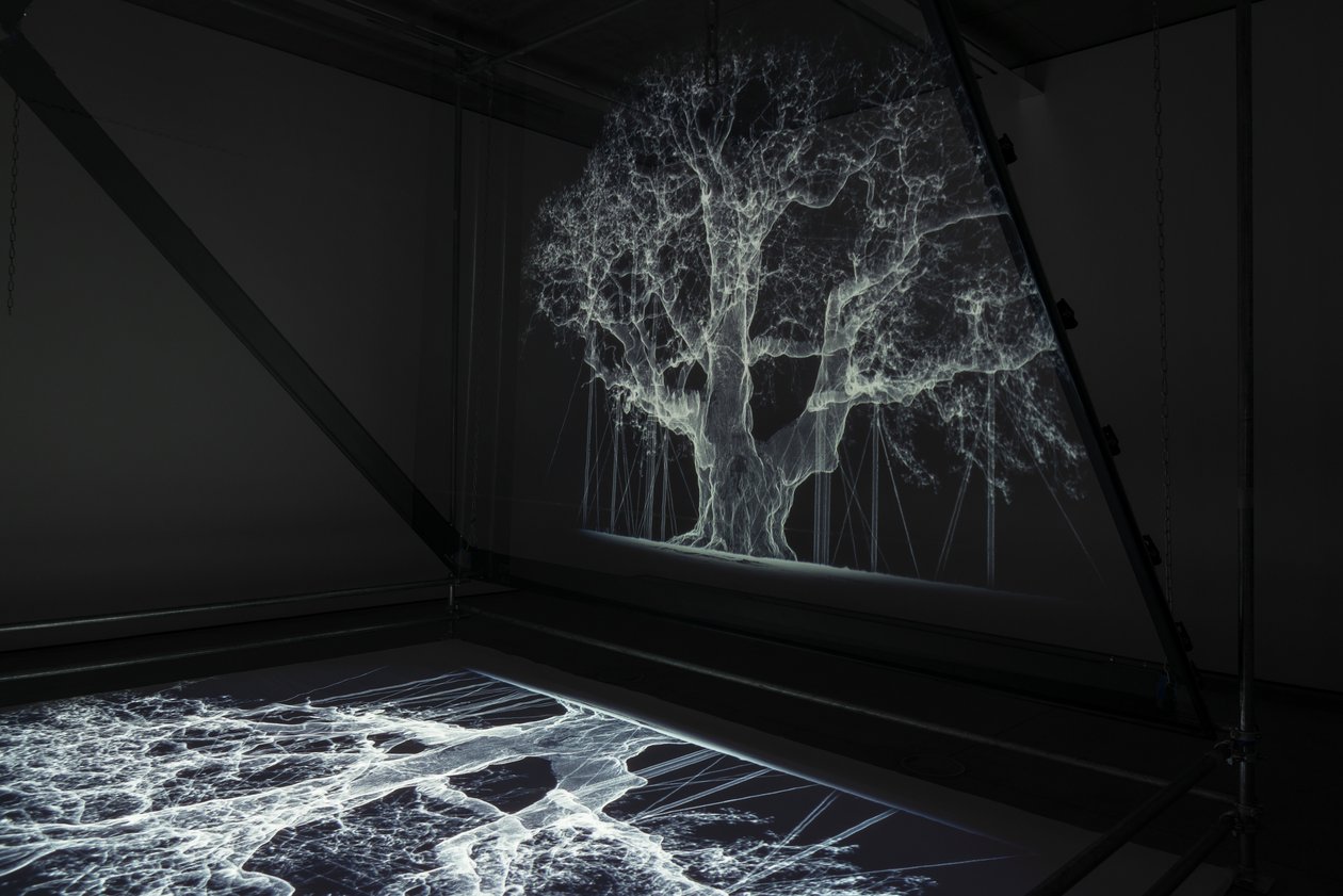 Albion, 2017 (Projektor, mediaspelare, byggnadsställning, transparent film, trä, färg, spegel, stretchingtillbehör) av Mat Collishaw