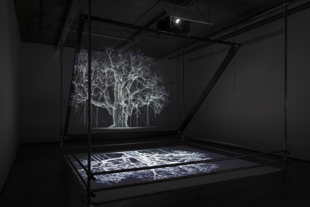 Albion, 2017 (Projektor, mediaspelare, byggnadsställning, transparent film, trä, färg, spegel, stretchingtillbehör) av Mat Collishaw
