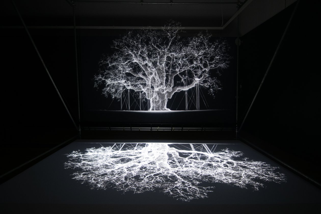 Albion, på utställningen "Petrichor" av Mat Collishaw i Kew Gardens, London, 2023 (foto) av Mat Collishaw