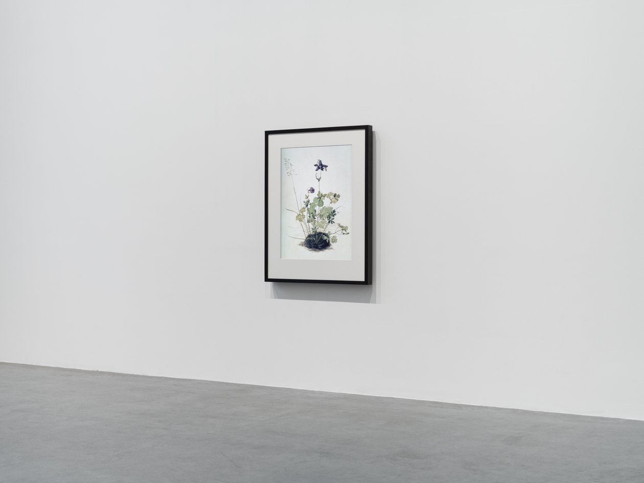 Columbine, 2018 (Träram, kant, LCD-skärm, fläkt och mediaspelare) av Mat Collishaw