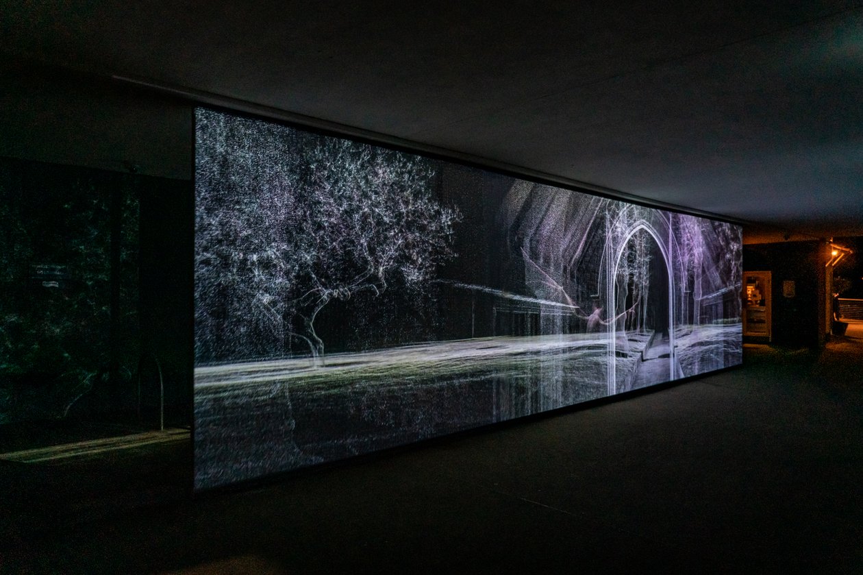 Echolocation, 2021 (3-kanals videoprojektion på polypropylenväv) av Mat Collishaw
