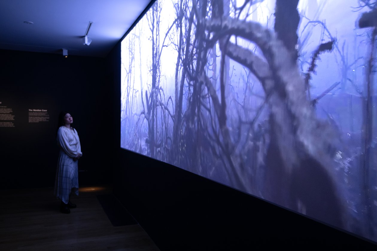 Even to the End, på utställningen "Petrichor" av Mat Collishaw i Kew Gardens, London, 2023 (foto) av Mat Collishaw