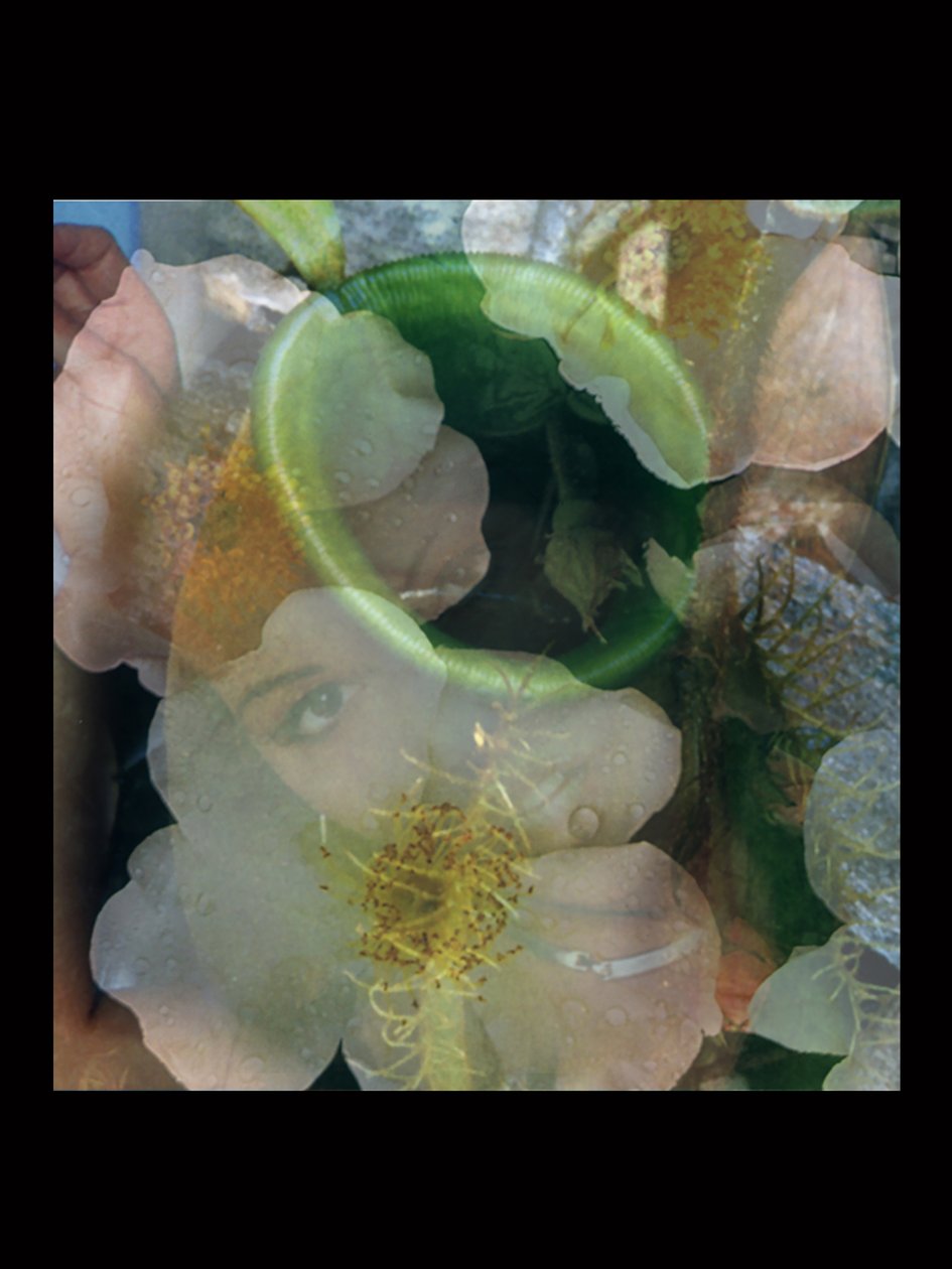 Flesheaters 2 av Mat Collishaw