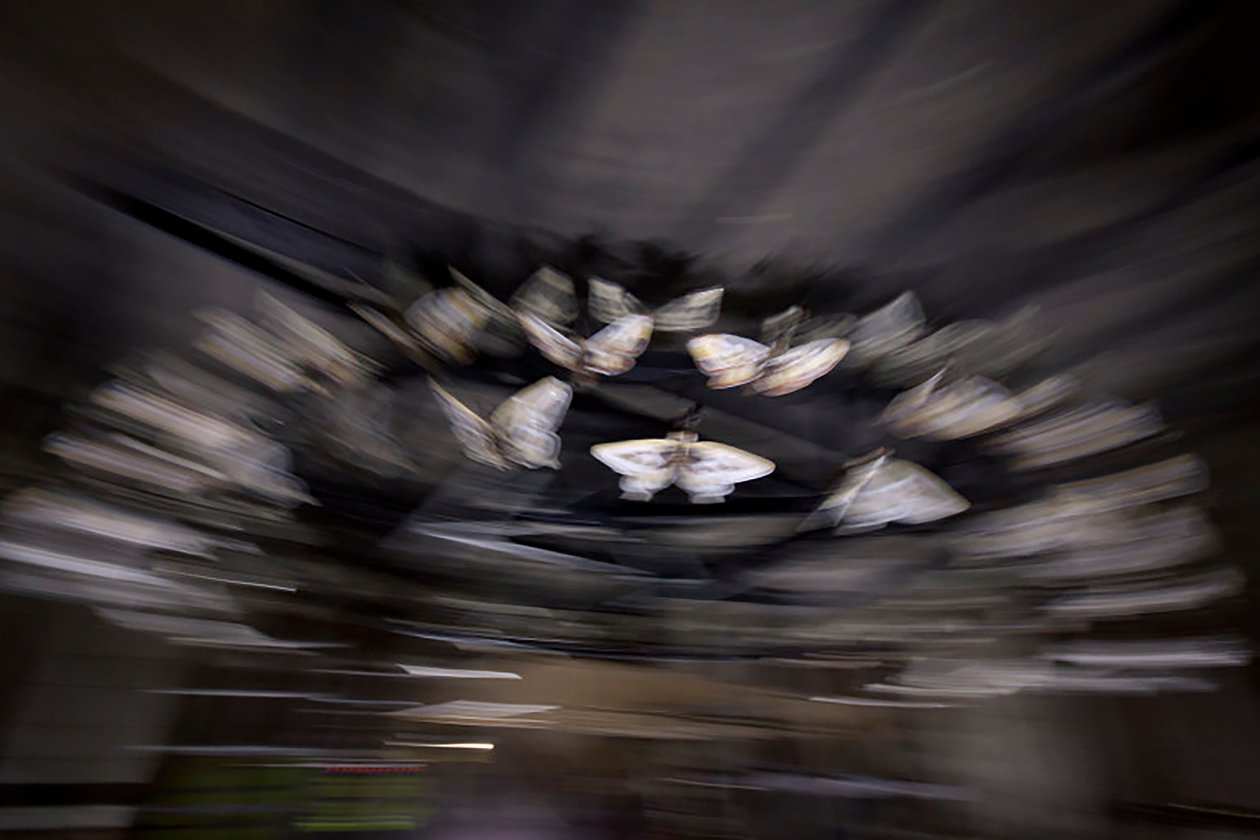 Magic Lantern, 2010 (stålram, perforerad aluminiumplåt, expanderad harts, LED-lampor, motor) av Mat Collishaw