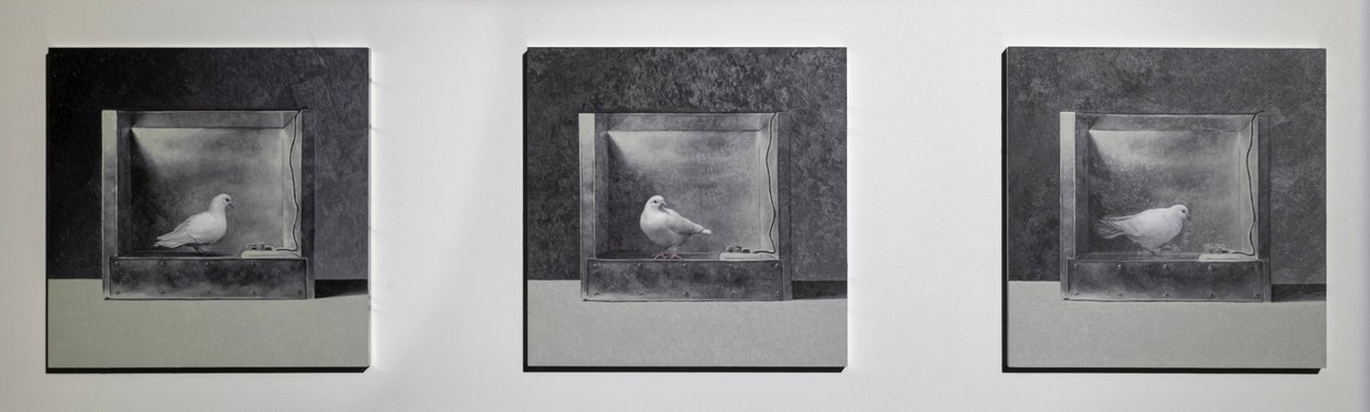 Operant betingning Chamber 3, 2022 (olja på aluminiumpanel) av Mat Collishaw