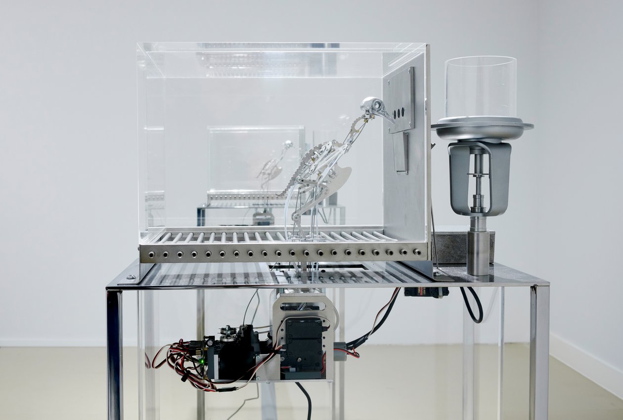 The Machine Zone, 2019 (stål, aluminium, servomotorer) av Mat Collishaw