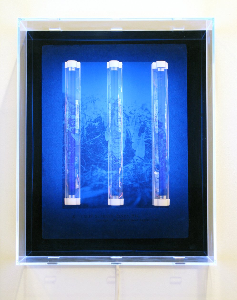 UV Garden, Fairy, Sunbath, Elves, Etc., 2008 (Silkscreen på akryl, UV-ljus och ljusarmaturer) av Mat Collishaw