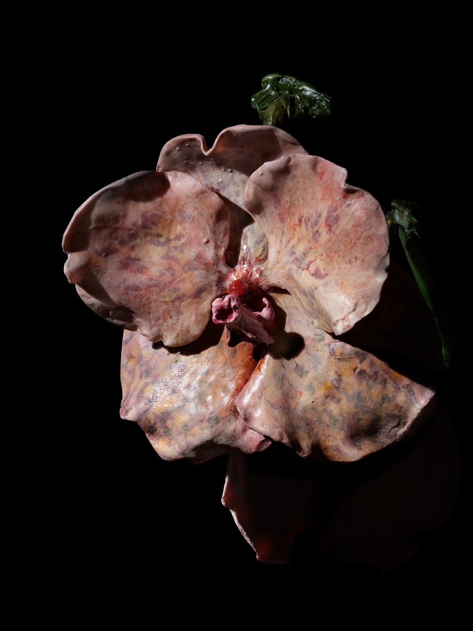 Venal Muse, Impetus, 2012 (harts, emaljfärg, trä, glas, stål) av Mat Collishaw