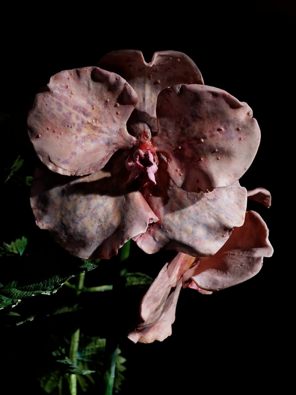 Venal Muse, Impetus, 2012 (harts, emaljfärg, trä, glas, stål) av Mat Collishaw