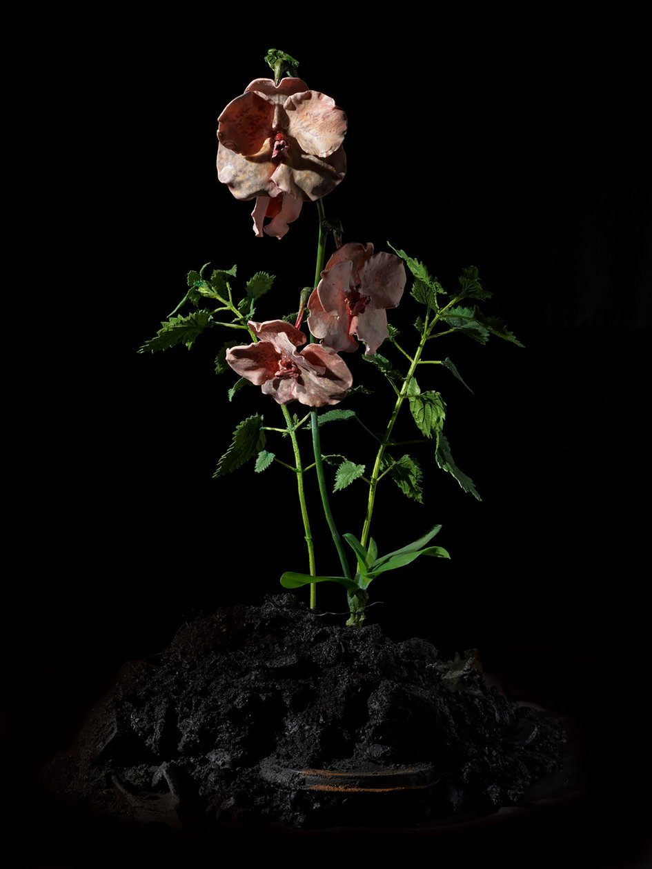 Venal Muse, Impetus, 2012 (harts, emaljfärg, trä, glas, stål) av Mat Collishaw