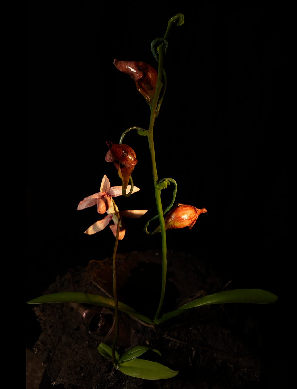 Venal Muse, Lafage, 2012 (harts, emaljfärg, trä, glas, stål) av Mat Collishaw