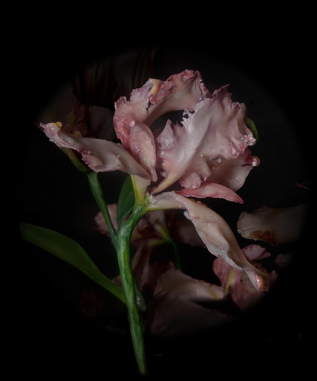 Venal Muse, Viridor, 2012 (harts, emaljfärg, trä, glas, stål) av Mat Collishaw