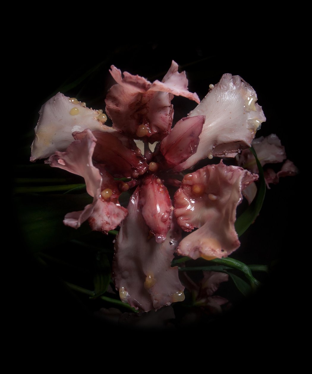 Venal Muse, Viridor, 2012 (harts, emaljfärg, trä, glas, stål) av Mat Collishaw