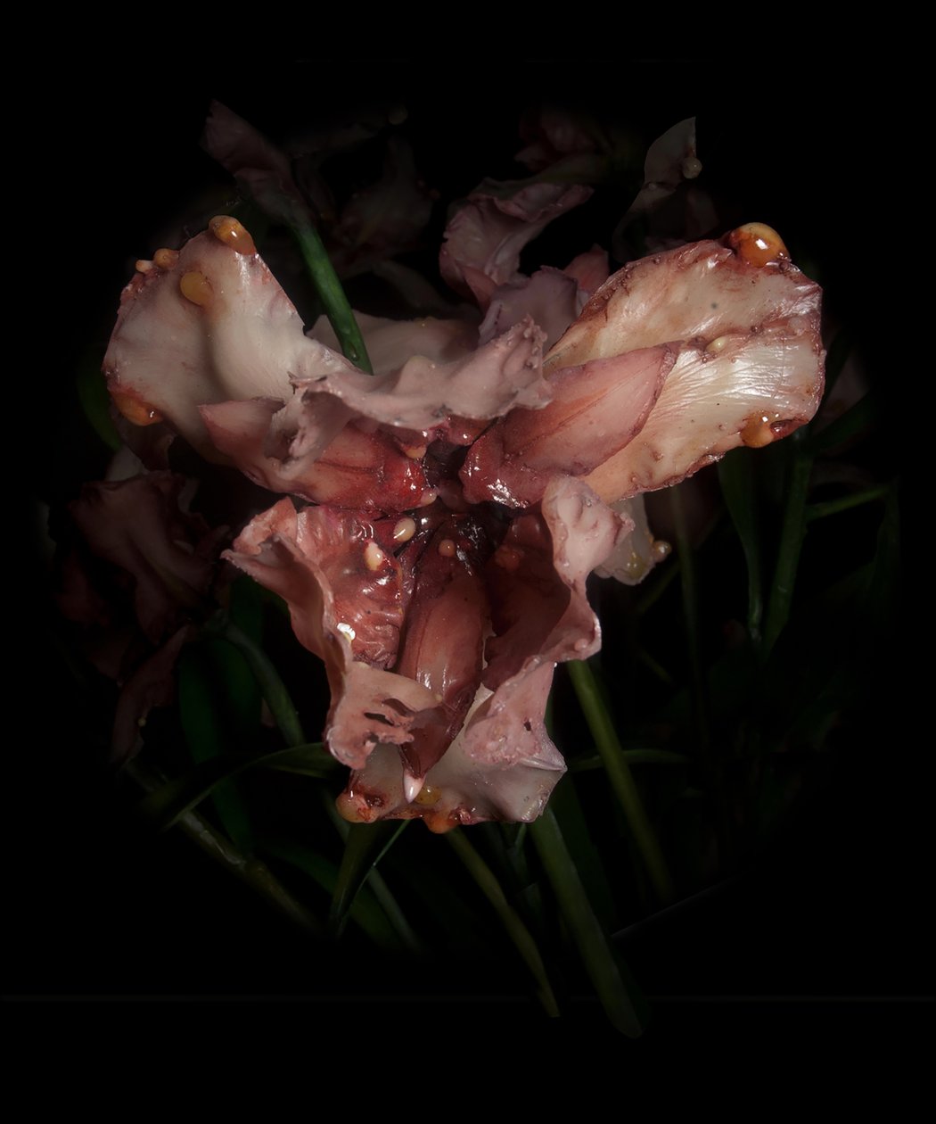 Venal Muse, Viridor, 2012 (harts, emaljfärg, trä, glas, stål) av Mat Collishaw