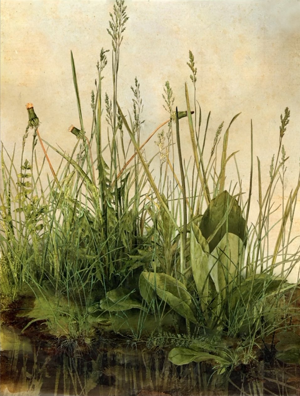 Whispering Weeds, 2011 (Träram, kant, LCD-skärm, fläkt och hårddisk) av Mat Collishaw